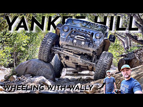 Yankee Hill Road Jeep Comparison: Which is the Best Jeep for Off-Roading?
