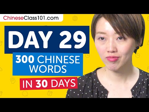 Day 29: 290/300 | Learn 300 Chinese Words in 30 Days Challenge