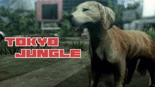 Tokyo Jungle video 1