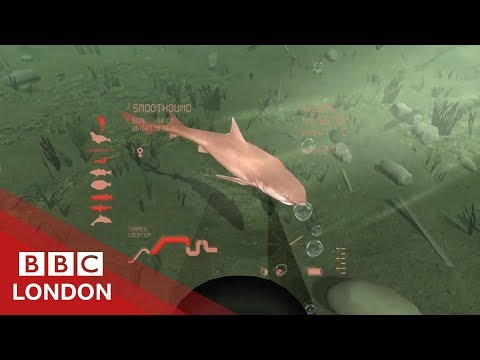 A virtual 'dive' in the Thames - BBC London