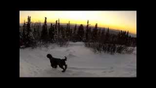 Ester dome walk, Xmas eve eve
