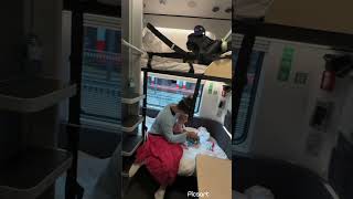 Nightjet sleeper cabin size from Hamburg to Vienna #nighttrain #train #traintravel #familytravel