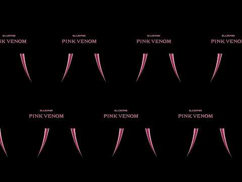 [1 Hour] BLACKPINK (블랙핑크) 'Pink Venom'
