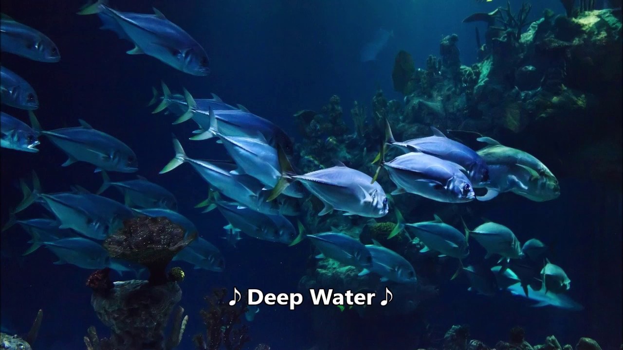 【リラックスBGM】♪Deep Water♪　ストレスを取り自律神経を整える リラックス、ストレス軽減、ヒーリング、集中力アップ、瞑想、休憩