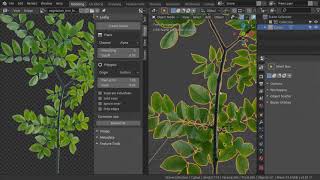 Leafig video thumbnail