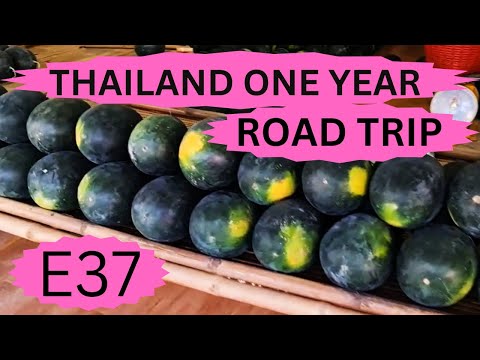 Viagem rodoviária de um ano à Tailândia E37