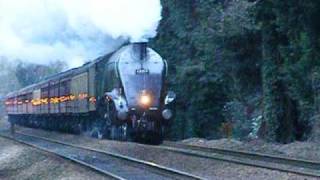 preview picture of video 'A4  Pacific  no. 60019   BITTERN '