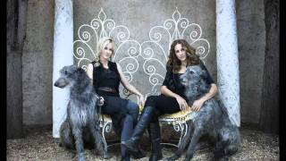 Ain't No Son 05 - Court Yard Hounds