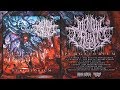 MENTAL CRUELTY PURGATORIUM 2018 FULL ALBUM STREAM