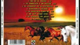 Grupo Laberinto  La Indicada Para Mi 2012