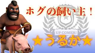両クラン、ホグ入り乱れ！！！