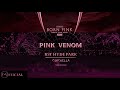 BLACKPINK Pink Venom BORN PINK FINALE IN SEOUL BST HYDE PARK PINKCHELLA VISUALIZER Y V