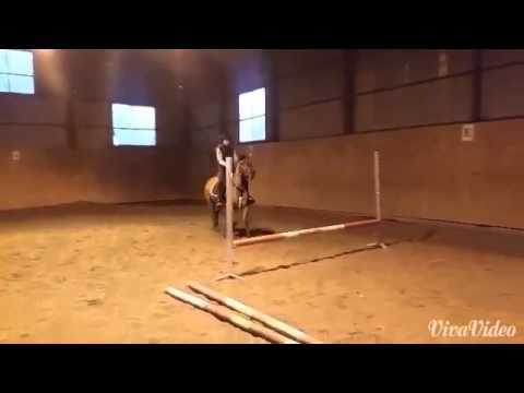 Mini trening Greta 15.11.2015