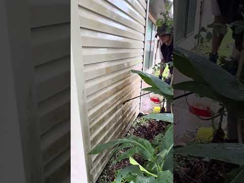Pressure Washing vs. Soft Washing on Vinyl Siding in Friendswood, TX