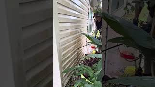 Watch video: Pressure Washing vs. Soft Washing on Vinyl Siding in Friendswood, TX