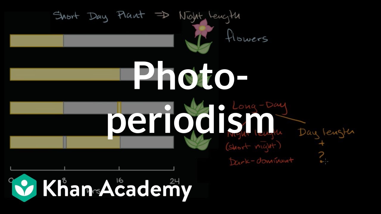 Photoperiodism  | Plant Biology | Khan Academy