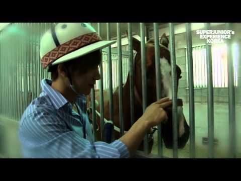 [HD] Super Junior's Experience Korea App Leeteuk - horse riding