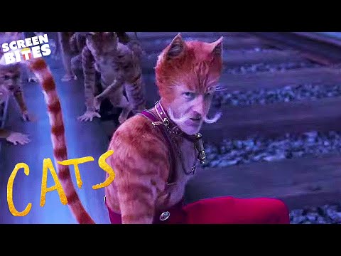 The Cat Of The Railway Train | Cats Movie | Screen Bites