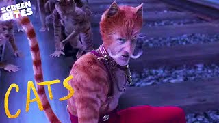 The Cat Of The Railway Train | Cats Movie | Screen Bites