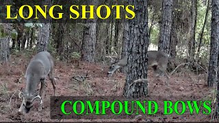 Bowhunting Ethics: How Far Is Too Far with a Compound?