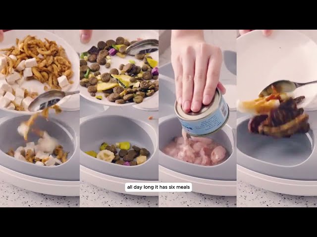 موزع وجبات كلاب وقطط ٦ صحون