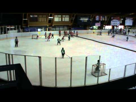 Hokej U10, Šišić 2015, Crvena Zvezda - Olimpija 0:1