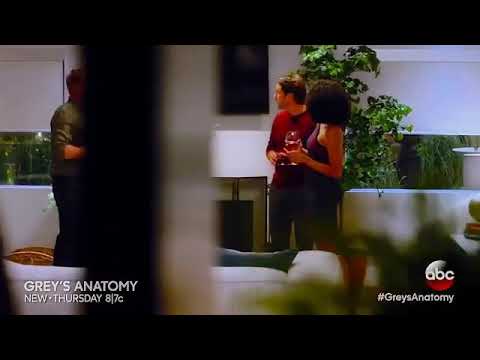 Grey's Anatomy 13x02 "Catastrophe and the Crue"