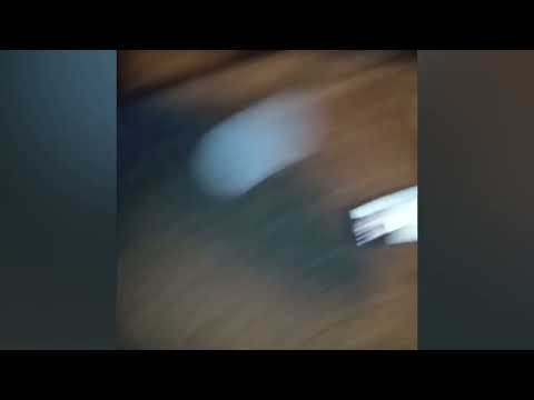 Ymb von ft. Quawn business