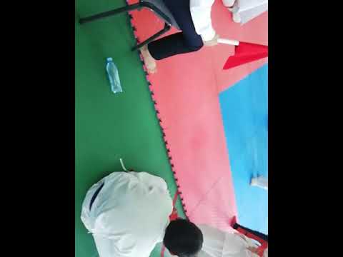 Финал киокушинкай каратэ