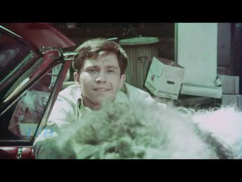 afbeelding David Zeiger on YOU'RE A BIG BOY NOW