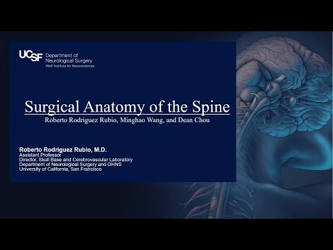 Surgical Anatomy of the Spine - Full Presentation