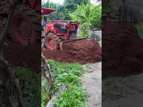 ไหวไหม