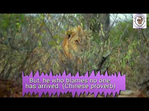 LionMind Motivation 5