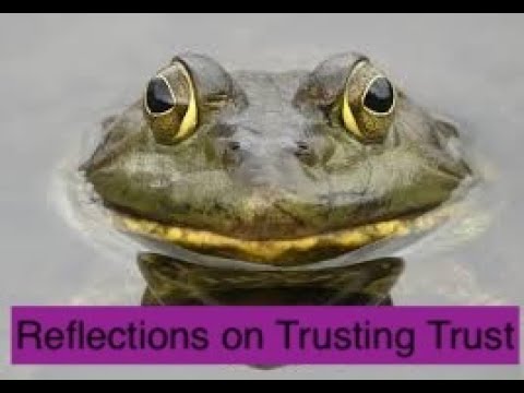 Reflections on trusting trust: Implementation