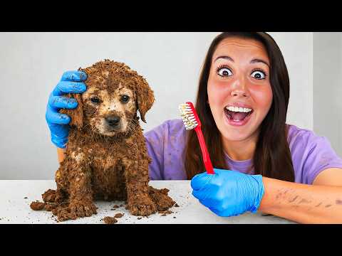 WENN DU ES PUTZT, BEHÄLTST DU ES! 🧽 Wer es am besten putzt, gewinnt gegen Doktor Timoti!