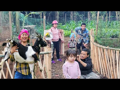 A Peaceful Farm Day: Baby Goats Are Born & Grandpa Shares Life Lessons / LY PHUC HA