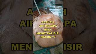 Download lagu Is it true that coconut water can neutralize poison? #permanacuy mp3 Download lagu Is it true that coconut water can neutralize poison? #permanacuy mp3