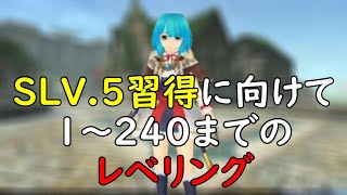 【初心者に】スキルレベル５習得に向けてソロでレベル上げ！ソロべリング企画挫折end【トーラムオンライン】