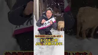 榛葉賀津也幹事長の元から嫁いだ、さくらちゃんと山形県小国町で久しぶりの再会を果たしました！ #榛葉幹事長 #きくち大二郎  #菊池大二郎  #国民民主党  #山形2区