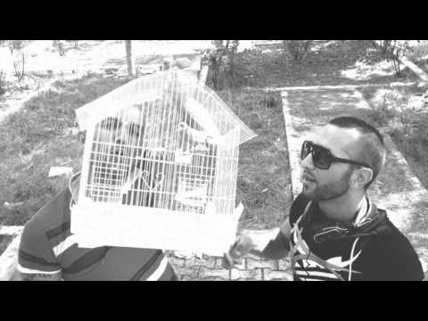 ANAKONDA - Diss Zogu Se Jam Macoku (Full HD! Official Video)