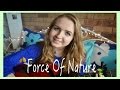 Force Of Nature - Bea Miller | Meg Mattingley Cover ...