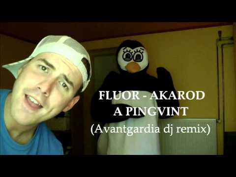 Fluor - Akarod a pingvint (Avantgardia remix).wmv