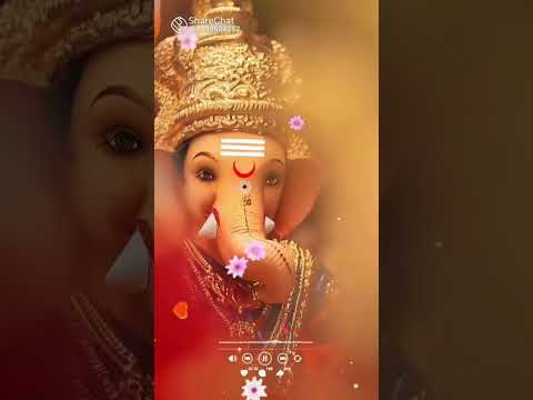 🚩🥰✨🥰Buppa 🥰😍🚩