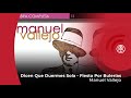 Manuel Vallejo - Dicen Que Duermes Sola - Fiesta Por Bulerías (con letra - lyrics video)