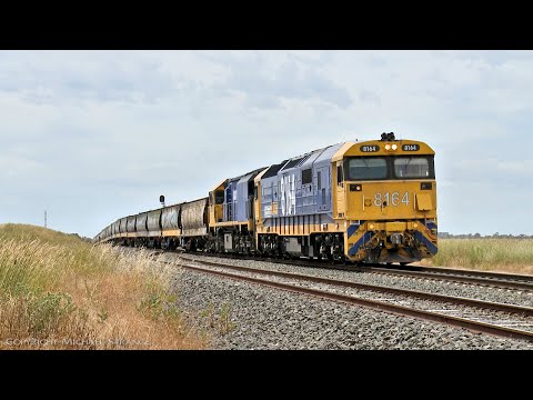7731V Pacific National Grain Train Arrives At Gheringhap (6/12/2021) - PoathTV Australian Railways