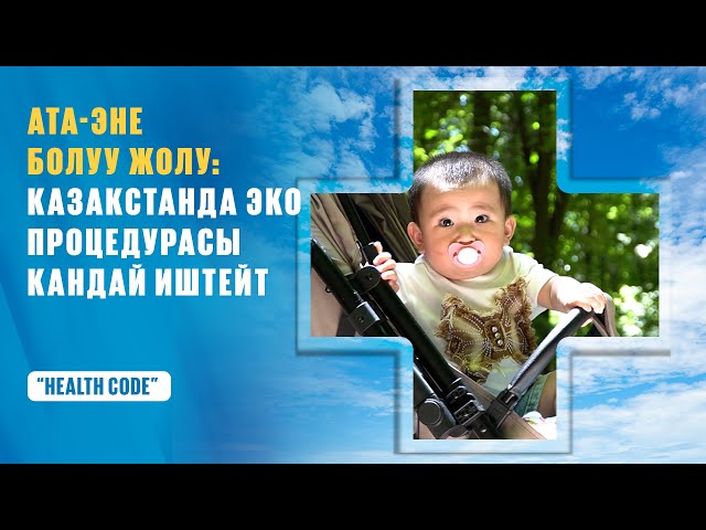 Ата-эне болуу жолу: Казакстанда эко процедурасы кандай иштейт?