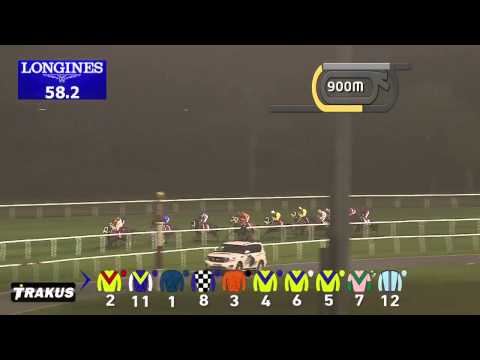 07 03 2015 Meydan  Race 8 Jebel Hatta   Group I 1800 m