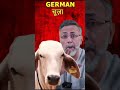 German Shepherd, Dr. Syed Rizwan Ahmed savage take down of Dhruv Rathee - FUnNy #rizwan #dhruvrathee