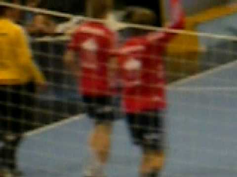 SG-Flensburg- Handewitt vs. Reale Ademar Leon (31:26)