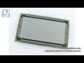 EL512.256-H2    Lumineq 8.6 inch  lcd panel